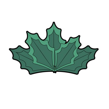 tropikal yaprak ve egzotik biyoloji tasarlamak vektör