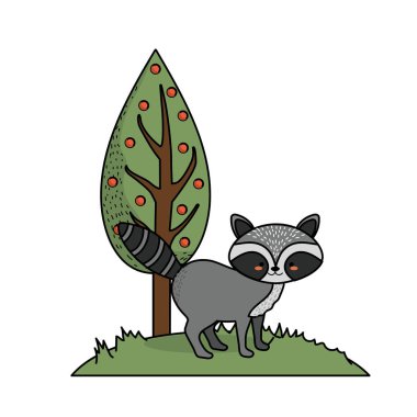 ağaç vektör çizim yanındaki şirin rakun vahşi hayvan