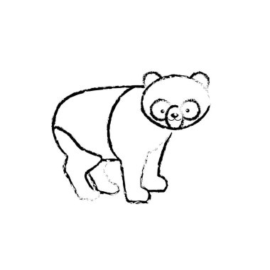 sevimli panda vahşi hayvan simge vektör çizim şekil