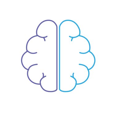 satır anatomi beyin hayal gücü ve hafıza ilham vektör çizim için