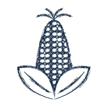 lezzetli ve sağlıklı Mısır vegan gıda vektör çizim şekil