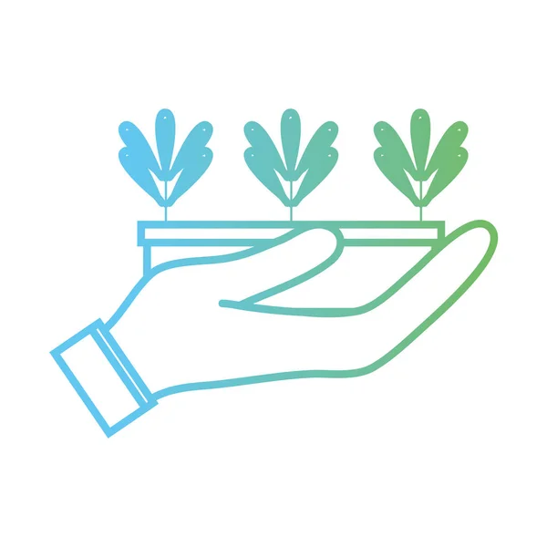线生态学植物与叶子在花盆里面在手向量例证 — 图库矢量图片