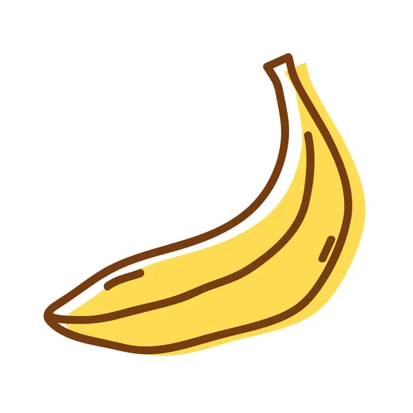Delicious Fresh Banana Organic Fruit Vector Illustration — Stock Vector