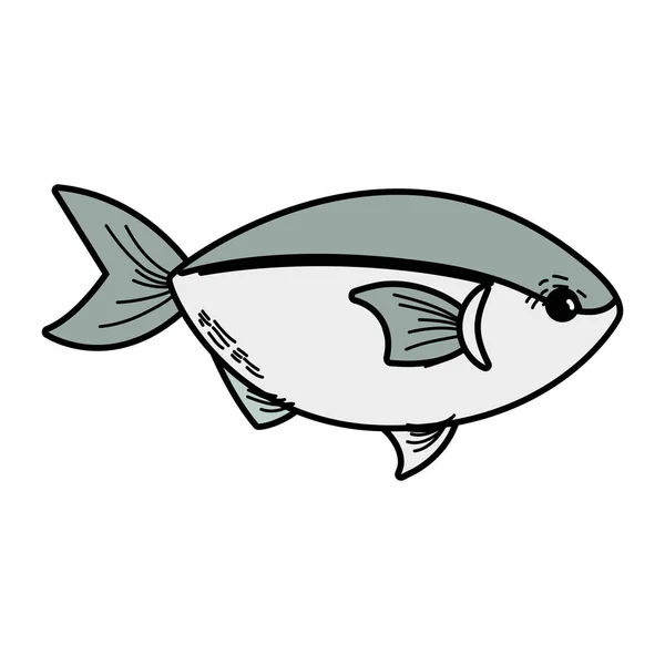 Смачна Риба Морепродуктів Натуральним Харчуванням Векторні Ілюстрації — стоковий вектор