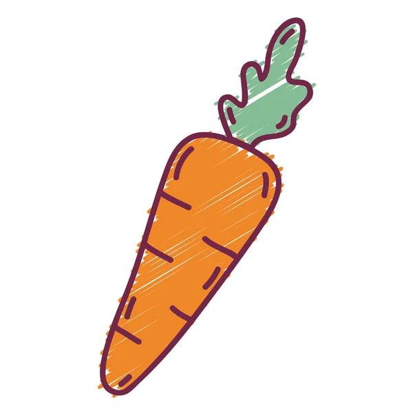 Deliciosa Zanahoria Fresca Vegetal Orgánico Vector Ilustración — Vector de stock