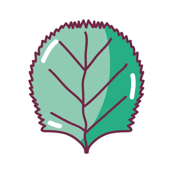 Planta Hoja Orgánica Agradable Diseño Ilustración Vectores — Vector de stock