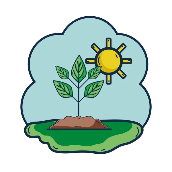 Planta Con Suelo Sol Vector Meteorológico Ilustración — Vector de stock