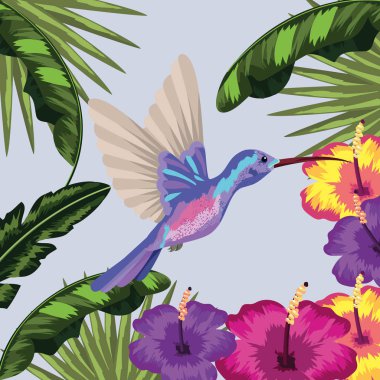 bitkiler arka plan vektör çizim çiçek ve yaprakları ile sinek kuşu