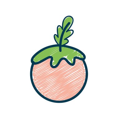 Kırmızı sağlıklı Domates sebze simgesi, vektör çizim