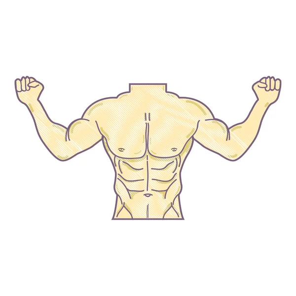 Hombre Tonificado Cuerpo Fitness Vector Ilustración Diseño — Archivo Imágenes Vectoriales