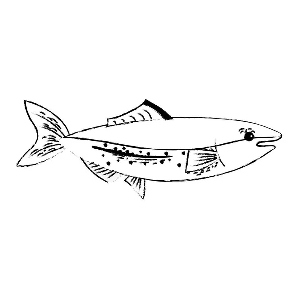 图美味的海鲜鱼与自然营养向量例证 — 图库矢量图片