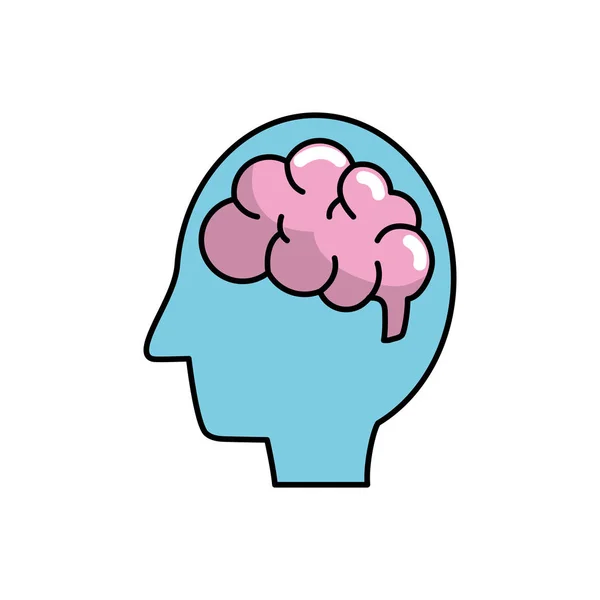 Силуэт Боковой Человек Анатомической Векторной Иллюстрацией Мозга — стоковый вектор