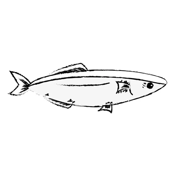 海鮮魚の自然な栄養物のベクトル図を図します — ストックベクタ