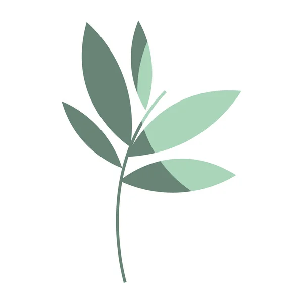 Pflanzen Mit Blättern Symbolbild Vektor Illustration Design — Stockvektor
