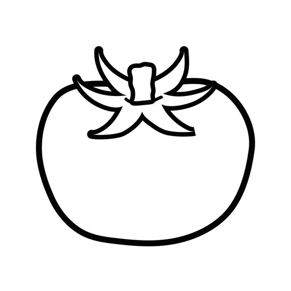 Linha Tomate Vegetal Saudável Orgânico Ilustração Vetorial —  Vetores de Stock