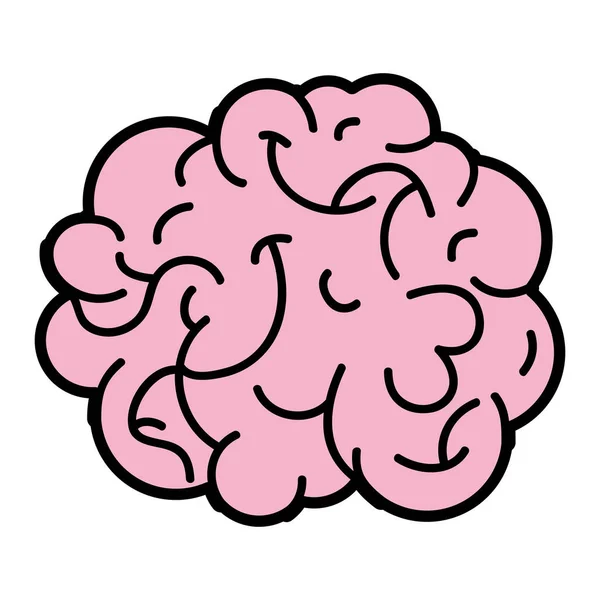 Anatomía Del Cerebro Humano Ilustración Vectorial Creativa Intelectual — Vector de stock