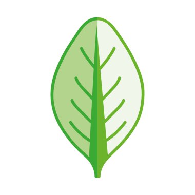 güzel organik leaf bitki, vektör çizim tasarım