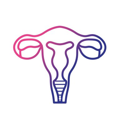 satır fallop tüpleri ile rahim insan anatomisi vektör çizim