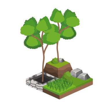 İzometrik ağaç bitki doğa ve botanik Tema izole tasarım vektör çizim