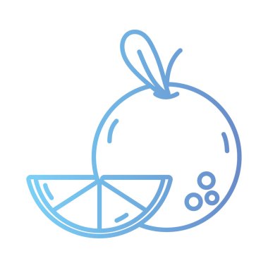 satır lezzetli turuncu meyve sağlıklı beslenme vektör çizim için