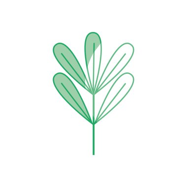 siluet doğal bitki botanik yaprakları tasarım vektör çizim ile