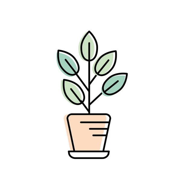 Přírodní Rostliny Listy Uvnitř Květináče Vektorové Ilustrace — Stockový vektor