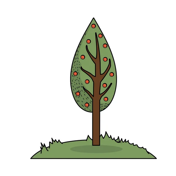 Árbol Natual Ecológico Con Ramas Vector Plantas Ilustración — Vector de stock