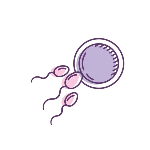 不妊治療卵子と精子のベクトル図の再現 — ストックベクタ