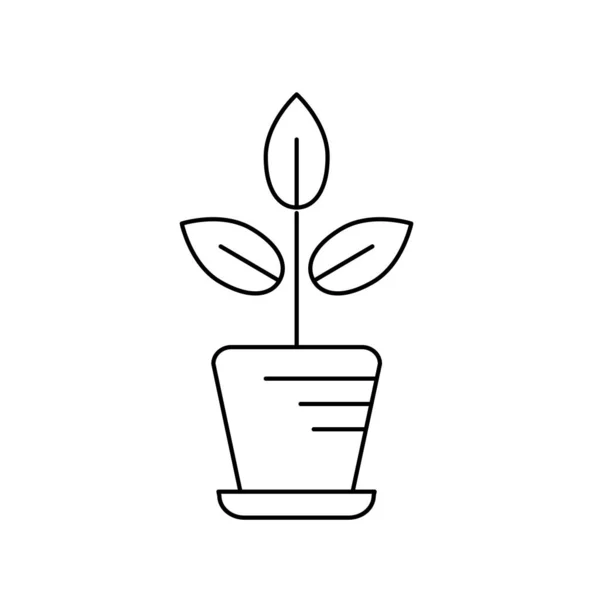 Linha Planta Natural Com Folhas Dentro Flowerpot Vetor Ilustração —  Vetores de Stock