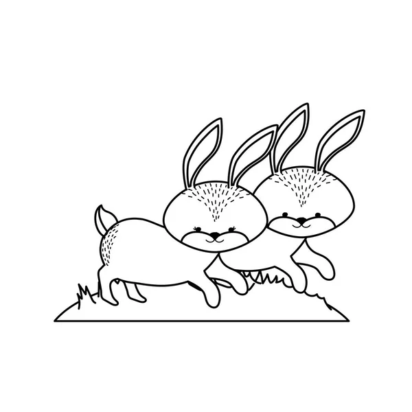 Line Cute Rabbit Animal Couple Together Vector Illustration — Stock Vector