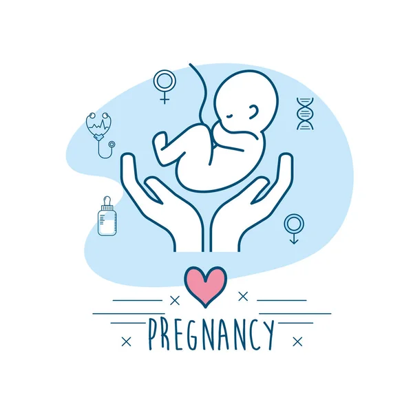 Embarazo Mujer Reproducción Fertilización Proceso Vector Ilustración — Vector de stock