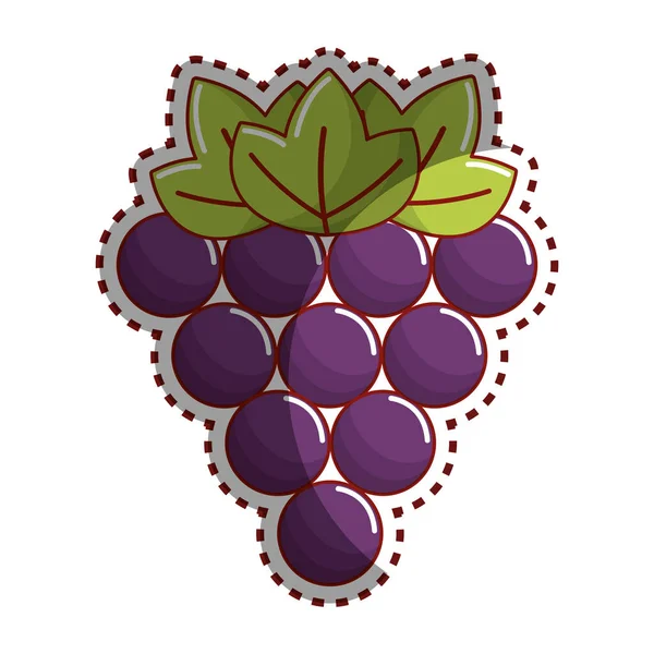 Adesivo Uva Frutta Icona Immagine Vettore Illustrazione Disegno Stock — Vettoriale Stock