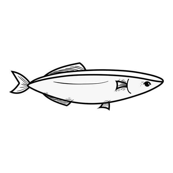 Ilustracja Wektorowa Linii Pyszne Owoce Morza Ryba Naturalny Odżywianie — Wektor stockowy
