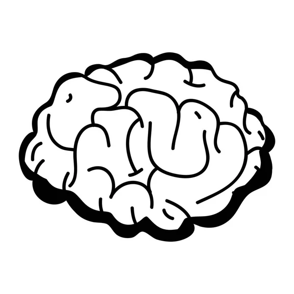 輪郭に創造的な人間の脳の解剖学と知性のベクトル図 — ストックベクタ