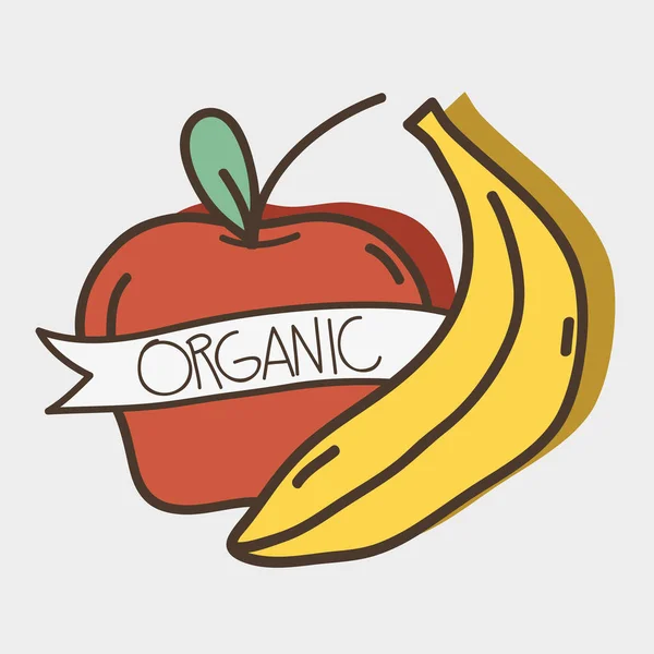 Fruits Frais Orgue Pomme Banane Avec Ruban Illustration Vectorielle — Image vectorielle