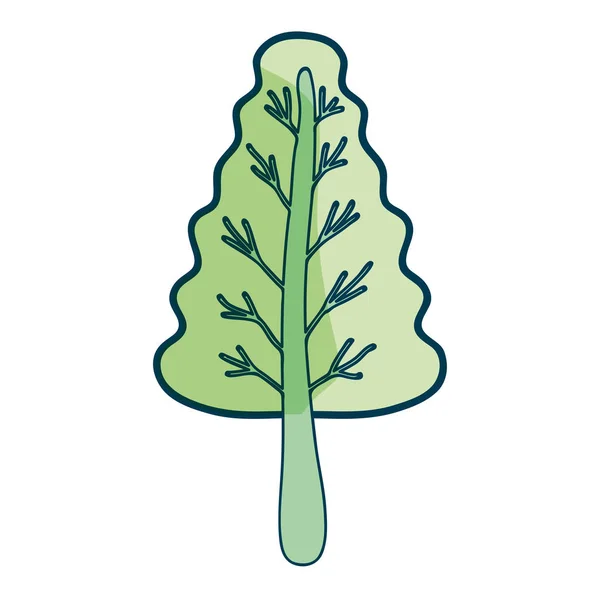 Frumos Plante Organice Ramuri Design Ilustrații Vectoriale — Vector de stoc