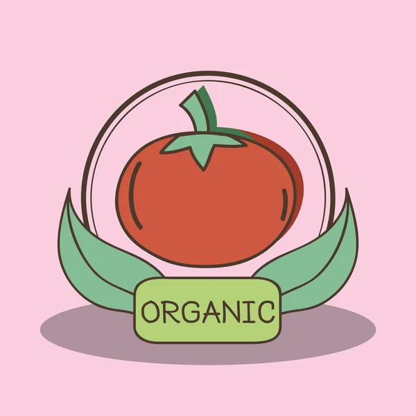 Fruits Frais Organe Tomate Avec Des Feuilles Illustration Vectorielle — Image vectorielle