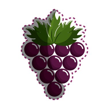 etiket üzüm küme simgesi görüntü, vektör çizim tasarım