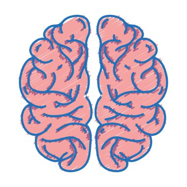 insan beyni anatomi için yaratıcı ve akıl illüstrasyon vektör