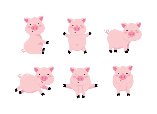 Set Cute Pig Wild Animal Character Vector Illustration — Stock Vector