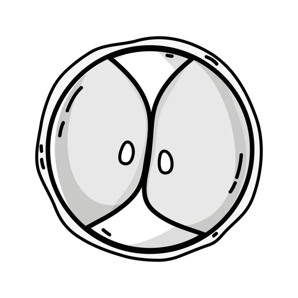 Lignée Biologie Génétique Embryon Cellules Division Vectorielle Illustration — Image vectorielle
