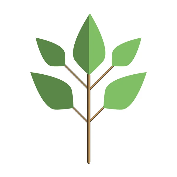 Ökologie Pflanzen Mit Blättern Icon Vektor Illustration — Stockvektor
