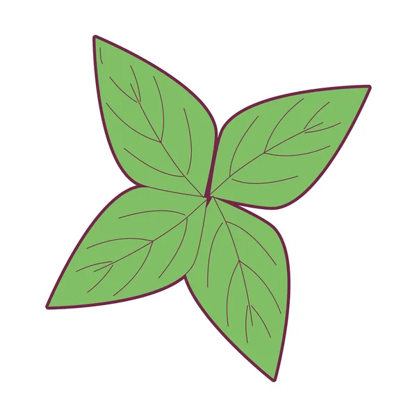 装飾デザインのベクトル図の葉の美しさの生態 — ストックベクタ