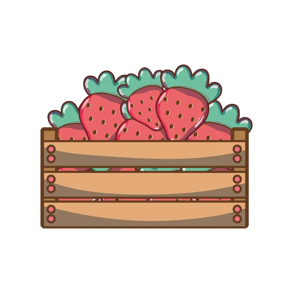 Owoce Pyszne Truskawki Wewnątrz Ilustracji Wektorowych Kosz — Wektor stockowy
