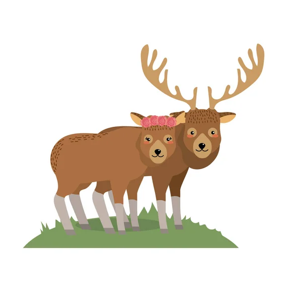 Schattig Elk Dier Paar Samen Vectorillustratie — Stockvector