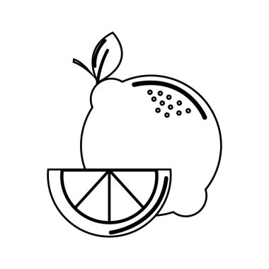 siluet limon meyve simge stok, vektör çizim tasarım görüntü