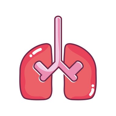 Akciğerler organ anatomi pulmoner bakım vektör çizim için