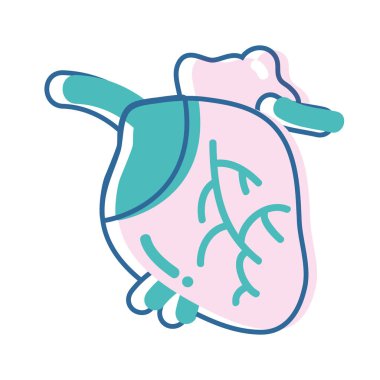 kan dolaşımı ile kalp organ damarlar vektör çizim için