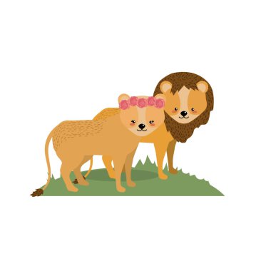 sevimli aslan hayvan çift birlikte vektör çizim