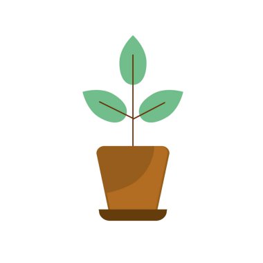 ile doğal bitki saksı vektör çizim içinde bırakır